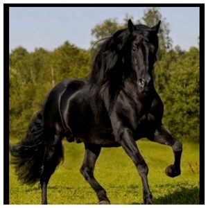 Meet your Posher, Joe